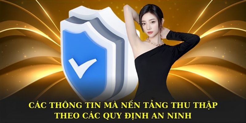 Các thông tin mà nền tảng thu thập theo các quy định an ninh