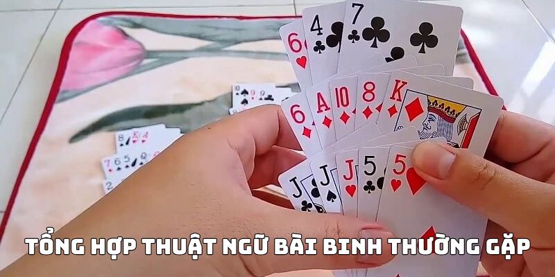 Tổng hợp thuật ngữ bài binh thường gặp